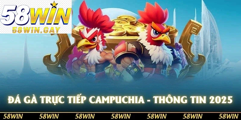 Đá gà trực tiếp Campuchia