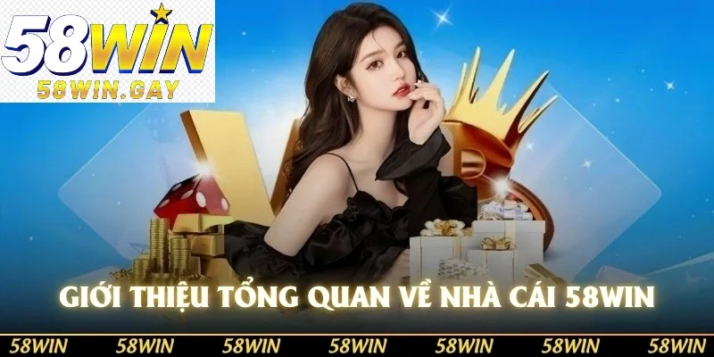 Giới thiệu tổng quan về nhà cái 58WIN