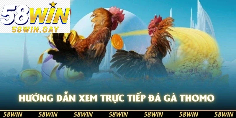 Hướng dẫn xem trực tiếp đá gà thomo