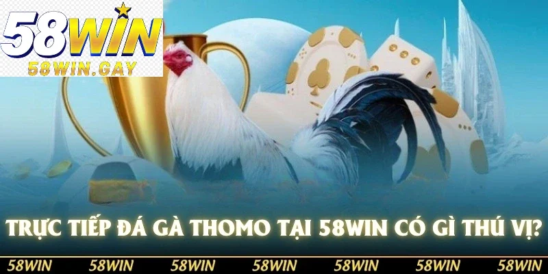 Trực tiếp đá gà thomo tại 58WIN có gì thú vị?
