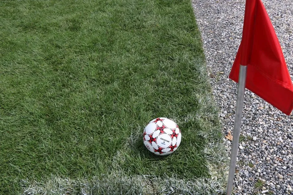World Cup 2026 - bóng đá